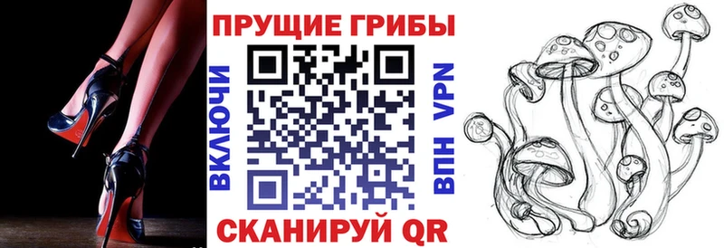 где купить наркотик  это формула  Псилоцибиновые грибы Psilocybine cubensis  Бронницы 